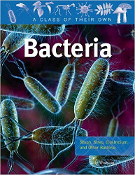 Bacteria