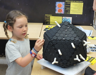 Viruses at MRC Open Day