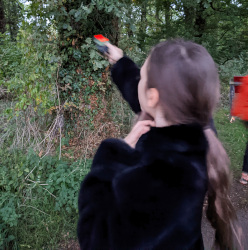Bat Walk at Ferry Meadows