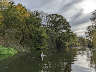 Nature Boat Trip at Ferry Meadows