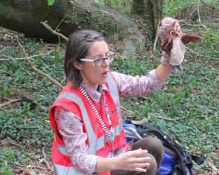 Woodland Habitat (Burghley House)