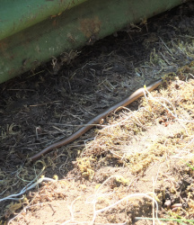 searching under logs