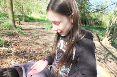 searching under logs