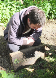 searching under logs