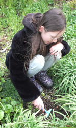 collecting soil samples