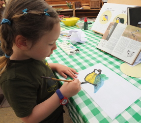 Blue Tit, Great Tit & Foxes