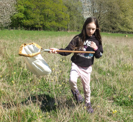 Minibeasts (Daws Hall)