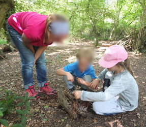 Noakes Grove Home Ed Group