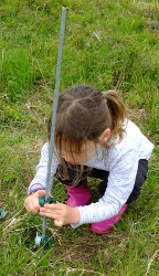 helping put the pieces in for the electric fence