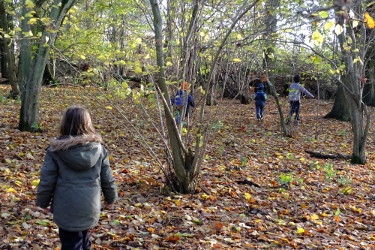 running in the woods