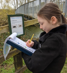 Pondlife Trail at Ferry Meadows