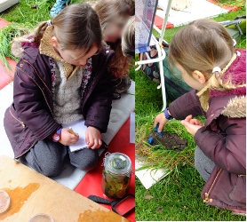 Blackbirds and Tadpoles