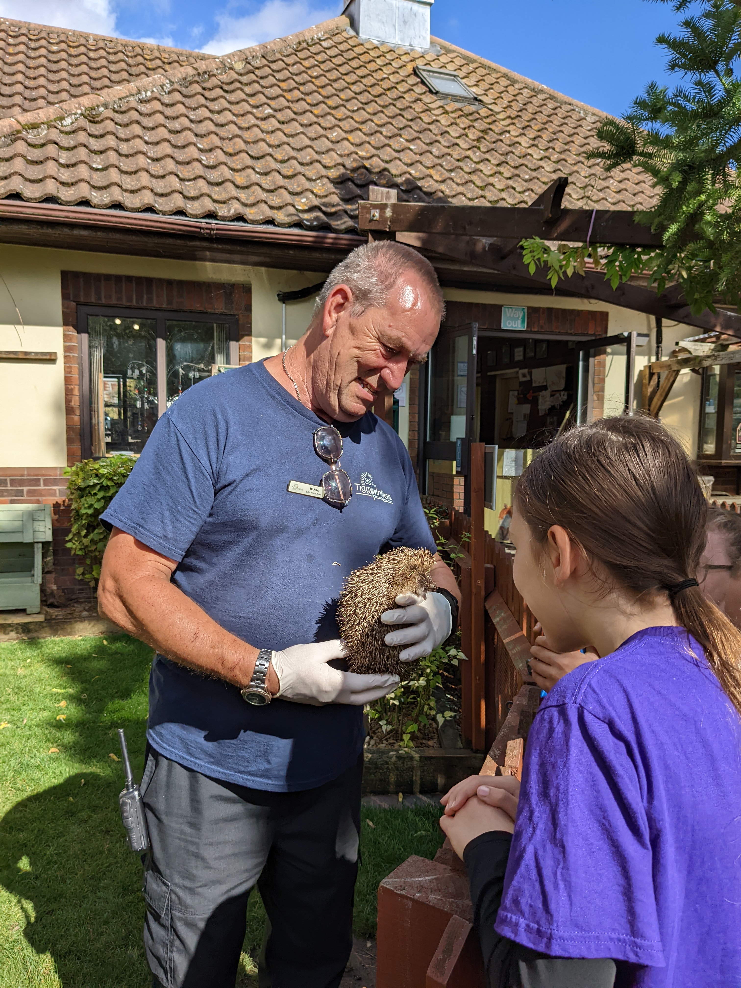 Visiting St Tiggywinkles