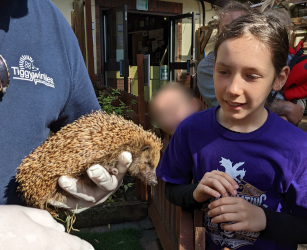 Visiting St Tiggywinkles