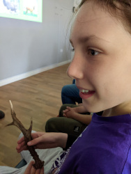 HB with horns on head