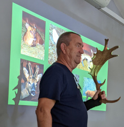 Looking at deer antlers