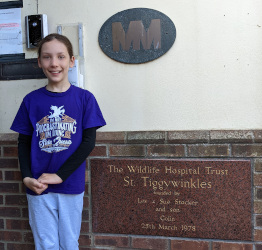 Visiting St Tiggywinkles