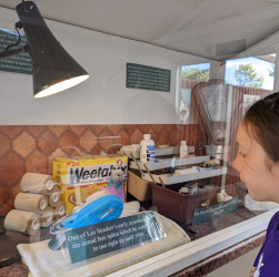 Visiting St Tiggywinkles