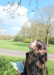 Tree Identification at Ferry Meadows