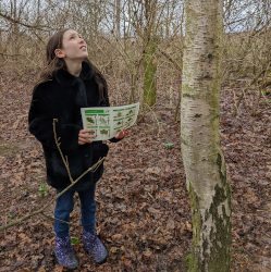 Tree Identification at Ferry Meadows
