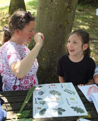 identifying the leaves