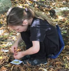 collecting natural treasures