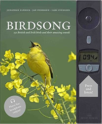 Birdsong