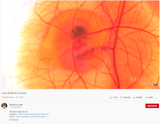 I was born in a glass