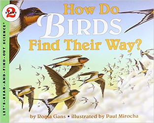 How do birds find their way?