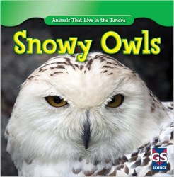 Snowy Owls