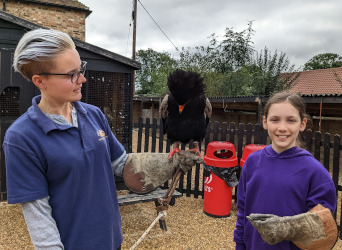 Endangered Species session at Herring Green