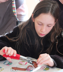 Falconry (Herrings Green)