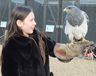 learning about eagles