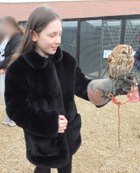 meeting the owls