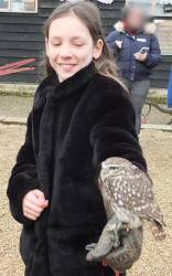 meeting the owls
