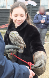 meeting the owls