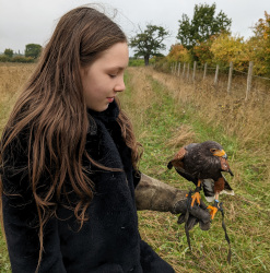 Adaptations (Herrings Green)