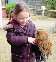 Meet the Birds Experience at the Raptor Foundation