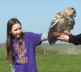 Meet the Birds 2 (Raptor Foundation)