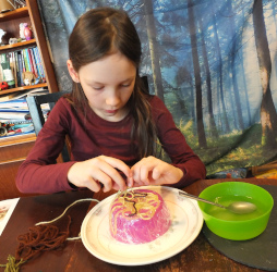 Feather Your Nest Workshop (online)