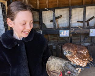 Owl session at Herring Green