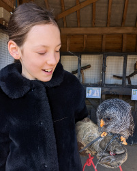 holding a black banded owl
