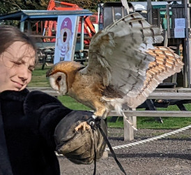 flying a barn owl