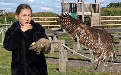 flying a brown wood owl