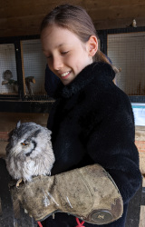 holding a White Faced Scops owl