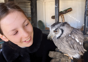 holding a White Faced Scops owl