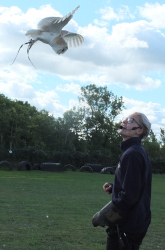 flying demonstration