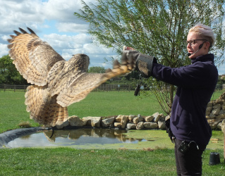flying demonstration