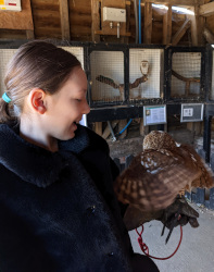 holding a tawny owl