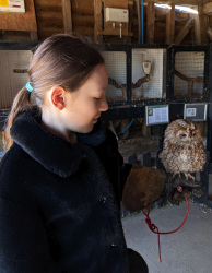 holding a tawny owl